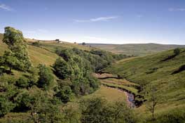 Durham_Walks43.jpg