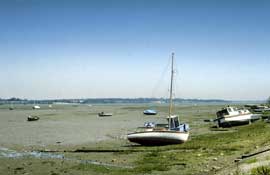 Essex_Walks2.jpg