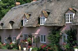 Essex_Walks27.jpg