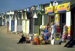 Essex_Walks3.jpg