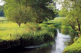 Glos_Walks37.jpg
