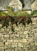 Glos_Walks38.jpg