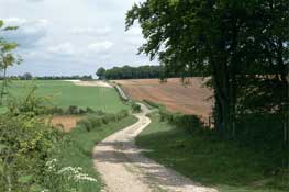 Hants_Walks28.jpg