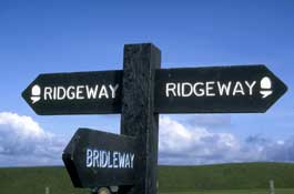 Herts_Walks11.jpg