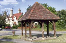 Herts_Walks17.jpg