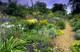 Herts_Walks18.jpg