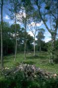 Herts_Walks41.jpg