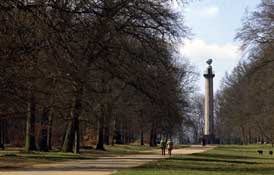 Herts_Walks43.jpg