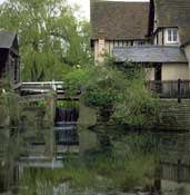 Herts_Walks8.jpg