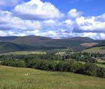 Highlands_Walks23.jpg