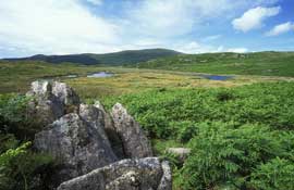 Lakes_Walks38.jpg