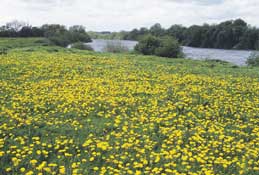 Lakes_Walks6.jpg