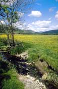 Lancs_Walks36.jpg