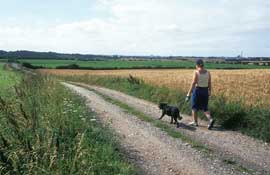 Lancs_Walks41.jpg