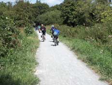 London_Walks33.jpg