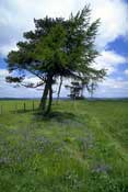N_Wales_Walks13.jpg