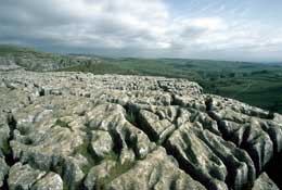 N_Yorks_Walks43.jpg