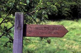N_Yorks_Walks7.jpg