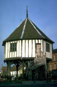 Norfolk_Walks16.jpg