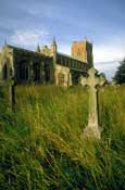 Norfolk_Walks47.jpg