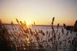 Norfolk_Walks7.jpg