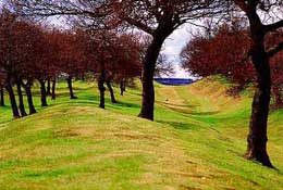 Scotland_Walks47.jpg