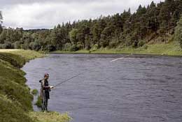 Scotland_Walks92.jpg
