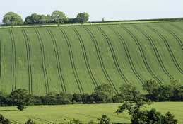 Shropshire_Walks18.jpg