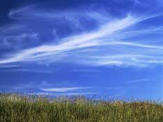 Shropshire_Walks26.jpg