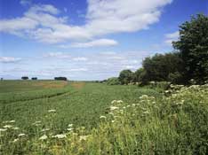 Shropshire_Walks36.jpg