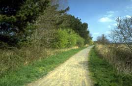 Somerset_Walks1.jpg