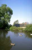 Somerset_Walks12.jpg