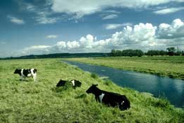 Somerset_Walks28.jpg