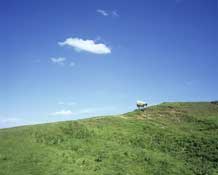 Somerset_Walks46.jpg