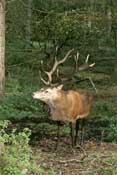 Somerset_Walks8.jpg