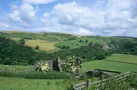 Staffs_Walks13.jpg