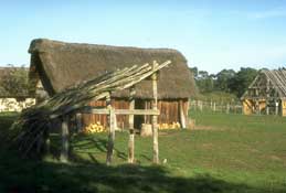 Suffolk_Walks42.jpg