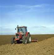 Suffolk_Walks47.jpg