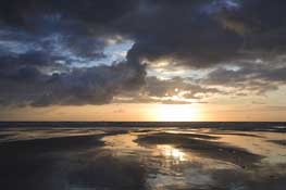 Suffolk_Walks8.jpg