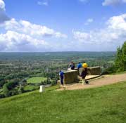 Surrey_Walks18.jpg