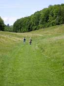 Surrey_Walks27.jpg