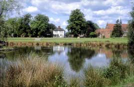 Surrey_Walks41.jpg