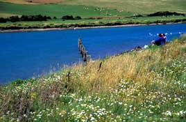 Sussex_Walks13.jpg