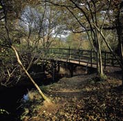 Sussex_Walks21.jpg