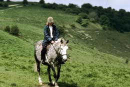 Sussex_Walks23.jpg