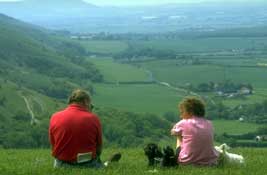 Sussex_Walks27.jpg
