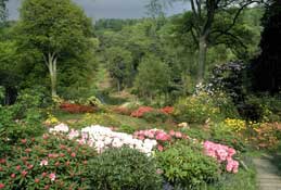 Sussex_Walks28.jpg