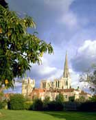 Sussex_Walks46.jpg