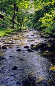 W_Yorks_Walks18.jpg