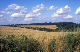 W_Yorks_Walks8.jpg